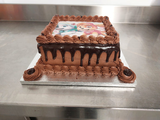 Paw Patrol Chocolate Fudge