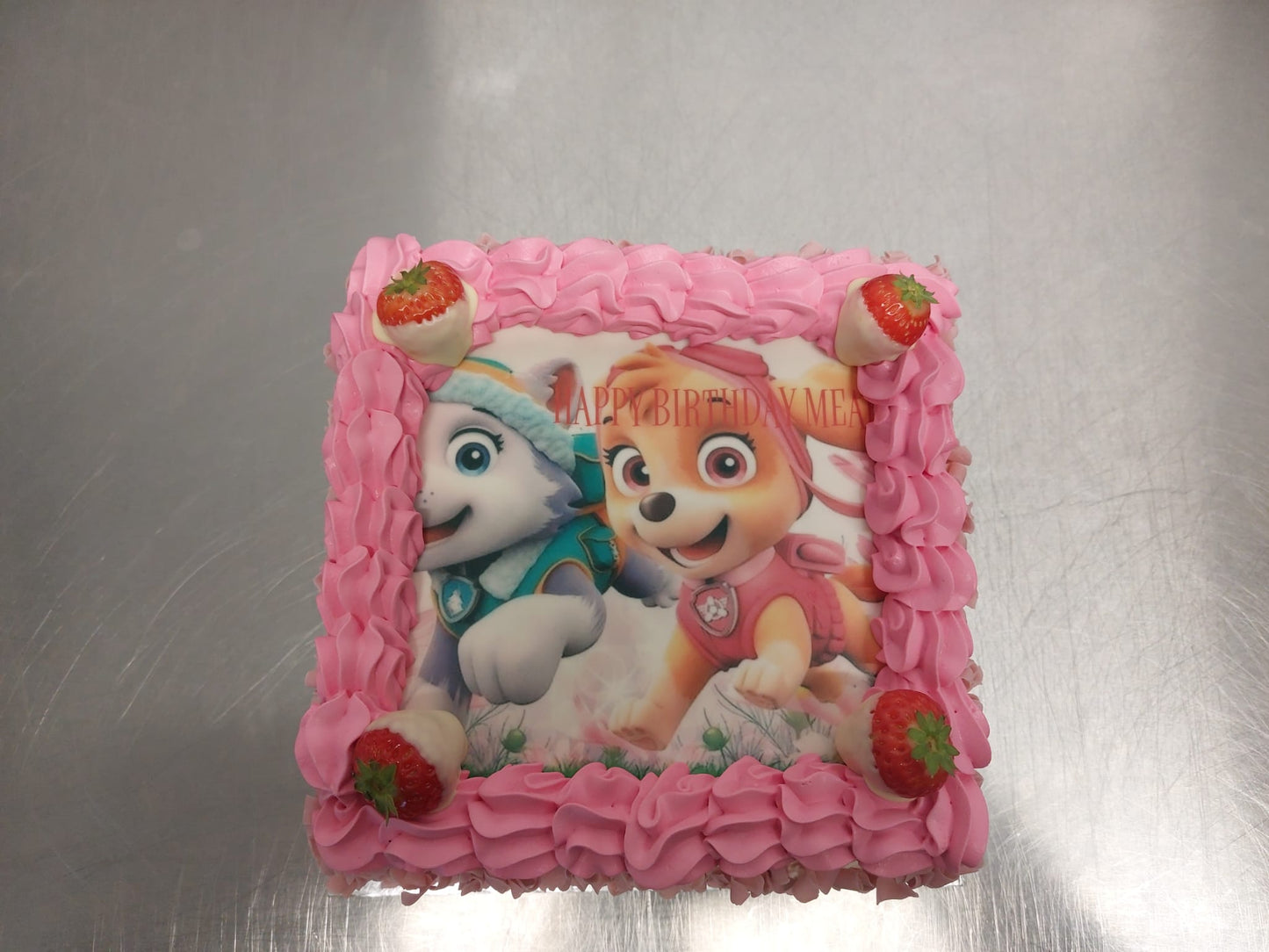 Paw Patrol Pink
